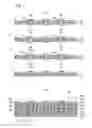 Fig. 02 - Laminated wiring board and method for manufacturing the same