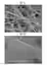 Fig. 04 - ULTRA-SENSITIVE GAS SENSOR USING OXIDE SEMICONDUCTOR NANOFIBER AND METHOD OF FABRICATING THE SAME