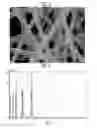 Fig. 05 - ULTRA-SENSITIVE GAS SENSOR USING OXIDE SEMICONDUCTOR NANOFIBER AND METHOD OF FABRICATING THE SAME