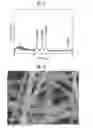 Fig. 06 - ULTRA-SENSITIVE GAS SENSOR USING OXIDE SEMICONDUCTOR NANOFIBER AND METHOD OF FABRICATING THE SAME
