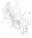 Fig. 02 - Dross Removal
