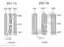 Fig. 08 - Photodetector, diffraction grating, optical pickup and optical disc apparatus
