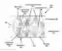 Fig. 01 - Voltage Switchable Dielectric Material Containing Insulative and/or Low-Dielectric Core Shell Particles