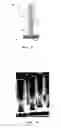 Fig. 07 - Elevated LED