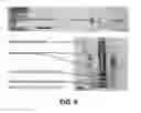 Fig. 06 - Electrically controlled catalytic nanowire growth based on surface charge density