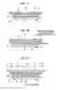 Fig. 02 - Semiconductor light-emitting device and method for manufacturing the same