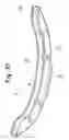 Fig. 06 - Skateboard