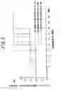 Fig. 04 - Wireless Communication Apparatus