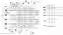 Fig. 01 - Pixel array and driving method thereof
