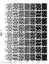 Fig. 07 - Liquid crystal display capable of reducing number of output channels of data driving circuit and preventing degradation of picture quality