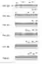 Fig. 07 - Substrate for ink ejection heads, ink ejection head, method of manufacturing substrate, and method of manufacturing ink ejection head
