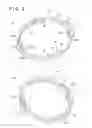 Fig. 07 - Accessory and accessory for image pickup apparatus