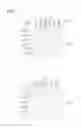 Fig. 08 - LIQUID CRYSTAL DISPLAY DEVICE