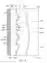 Fig. 05 - Light source module with light emitting diodes