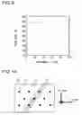 Fig. 06 - Nitride semiconductor light-emitting device