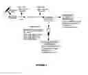 Fig. 02 - Isolated mesenchymal cell population and method for isolating and using same