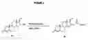 Fig. 06 - Guggulphospholipid methods and compositions