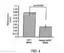Fig. 05 - Compositions and methods for selective inhibition of VEGF