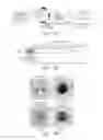 Fig. 25 - DOT1 histone methyltransferases as a target for identifying therapeutic agents for leukemia
