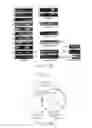 Fig. 27 - DOT1 histone methyltransferases as a target for identifying therapeutic agents for leukemia