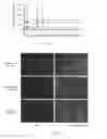 Fig. 09 - Method for quantifying biomolecules conjugated to a nanoparticle