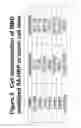Fig. 06 - METAL-BINDING THERAPEUTIC PEPTIDES