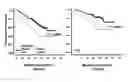 Fig. 01 - TP53 Gene expression and uses thereof
