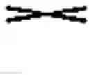 Fig. 02 - CARBOXYLIC ACID DERIVATIVES