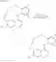 Fig. 09 - MACROCYCLIC QUINAZOLE DERIVATIVES AND THEIR USE AS MTKI