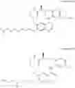 Fig. 67 - MACROCYCLIC QUINAZOLE DERIVATIVES AND THEIR USE AS MTKI