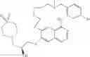 Fig. 76 - MACROCYCLIC QUINAZOLE DERIVATIVES AND THEIR USE AS MTKI