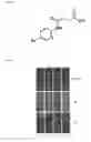 Fig. 04 - Non-steroidal brassinosteroid mimetic