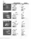 Fig. 17 - Non-steroidal brassinosteroid mimetic