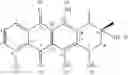 Fig. 02 - Low-viscous anthracycline formulation