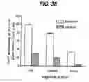 Fig. 35 - Mathematical relationship of strain, neurological dysfunction and abnormal behavior resulting from neurological dysfunction of the brainstem
