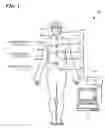 Fig. 02 - WHOLE BODY ELECTROMAGNETIC DETECTION SYSTEM