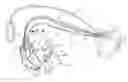 Fig. 01 - Secure and efficacious therapy delivery for a pacing engine