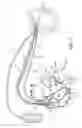 Fig. 03 - Secure and efficacious therapy delivery for a pacing engine