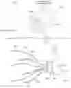 Fig. 01 - NERVE REGENERATION SYSTEM AND LEAD DEVICES ASSOCIATED THEREWITH