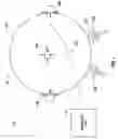 Fig. 02 - Method and apparatus for joining together portions of a geometric assembly