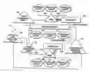 Fig. 01 - Method of operating a venture business