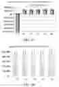 Fig. 04 - Method of administering an investment fund providing a targeted payout schedule