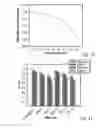 Fig. 07 - SYSTEM OF RANKING SEARCH RESULTS BASED ON QUERY SPECIFIC POSITION BIAS