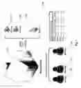 Fig. 02 - Devices, Systems and Methods for Controlling Network Services Via Address Book