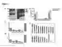 Fig. 07 - PiggyBac as a Tool for Genetic Manipulation and Analysis in Vertebrates