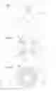 Fig. 08 - GEMMED SEQUIN