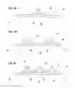 Fig. 09 - GEMMED SEQUIN