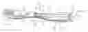 Fig. 01 - Toothbrush and process for producing the same
