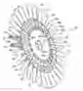 Fig. 01 - PIPELINE PIG BRUSH