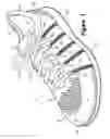 Fig. 02 - Article of footwear having an upper incorporating a knitted component
